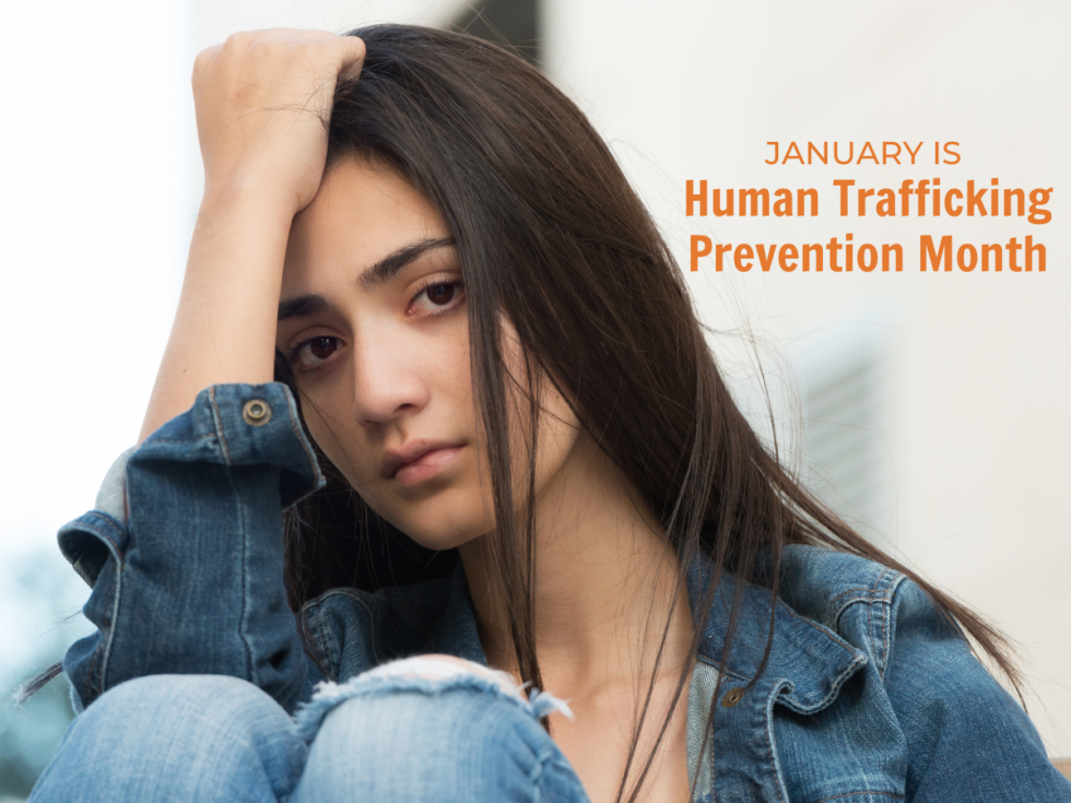 Human Trafficking Awareness Month Test Your Knowledge Shelter Inc