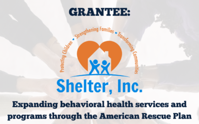 Shelter, Inc. Awarded Cook County Behavioral Health Grant